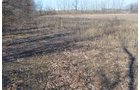 Property photo 30 - East Allen County - 55 Acre Land Auction